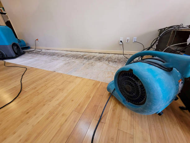 Professional Flood Damage Cleanup technician working in Kiln, MS